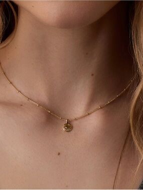 BRAND NEW Gorjana Shorebreak Necklace
